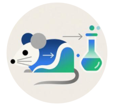 实验小鼠健康异常快速诊断与解决方案制定